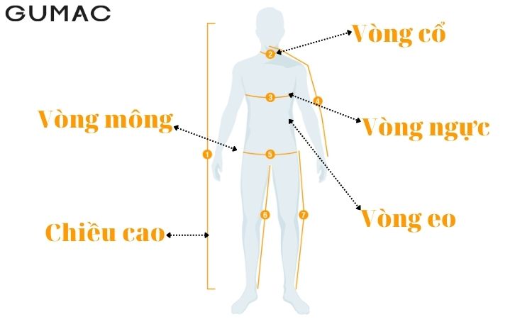 Các số đo cơ thể khi đo size quần áo Châu Âu